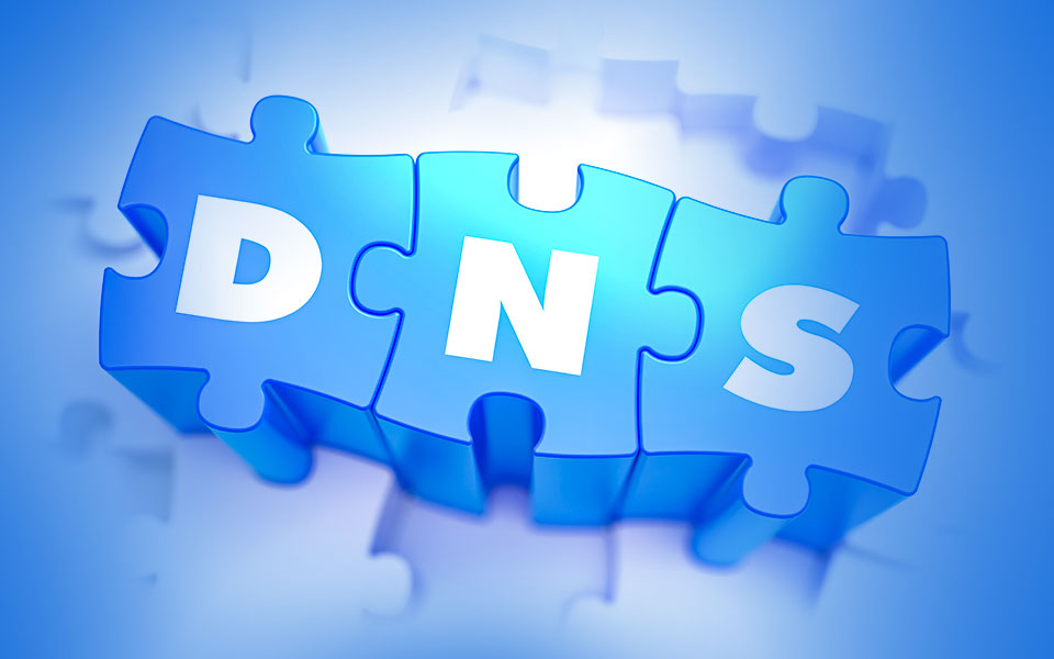 DNS Cache解决方案